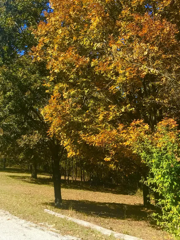 Tbd Ance Acres Lane #2, Reeds Spring, MO 65737