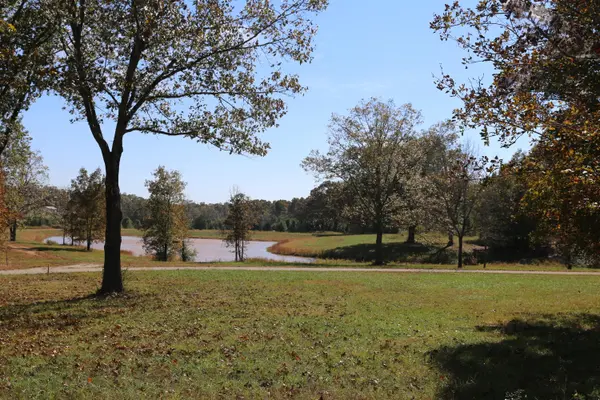 000 Wild Turkey Road #Block 1 Lot 2, West Plains, MO 65775