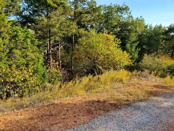 Lot 203 Silver Sunset Lane, Kimberling City, MO 65686