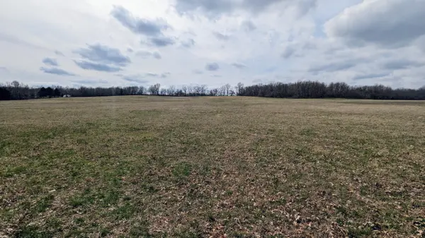 Tract F N Farm Road 61, Willard, MO 65781