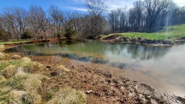 Lot 6 N Farm Road 61, Walnut Grove, MO 65770