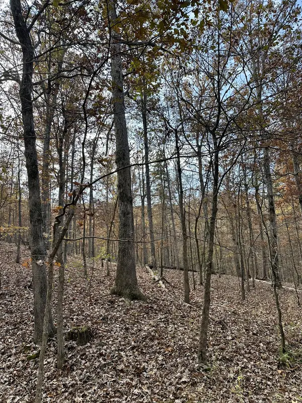 000 Route Z Highway, Van Buren, MO 63965