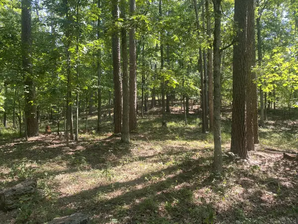 000 County Road 550, Ellington, MO 63638