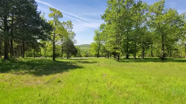 20-21-22 Cedar Falls Rd (Lots 20-21&22), Shell Knob, MO 65747