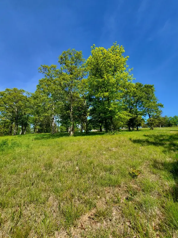 20-21-22 Cedar Falls Rd (Lots 20-21&22), Shell Knob, MO 65747