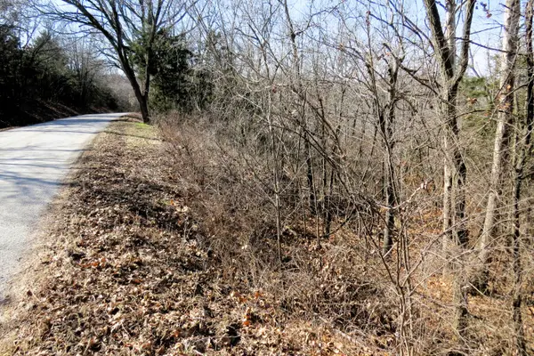 Lot 273a Hill Haven RD, Hollister, MO 65672