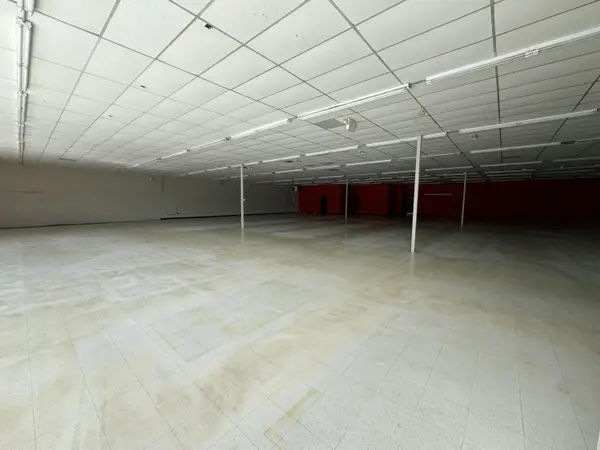 1117 E Commercial ST, Springfield, MO 65803
