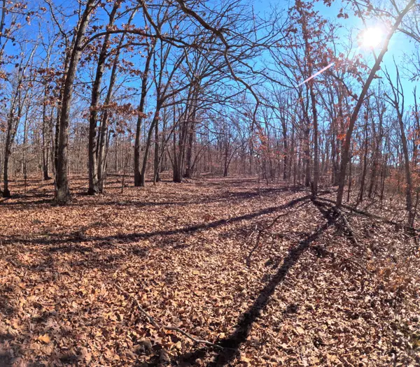 Tract K Greatview LN, Lebanon, MO 65536