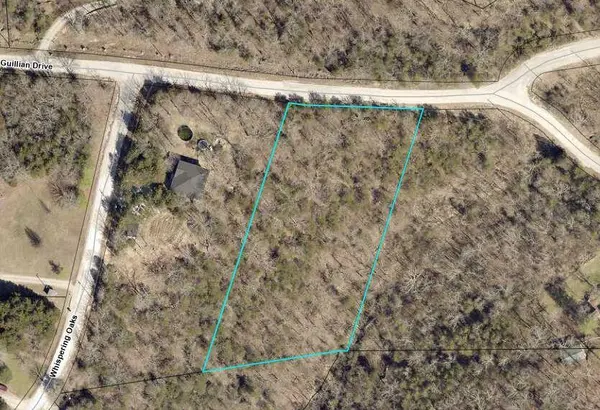 000 Guillian DR, Branson, MO 65616
