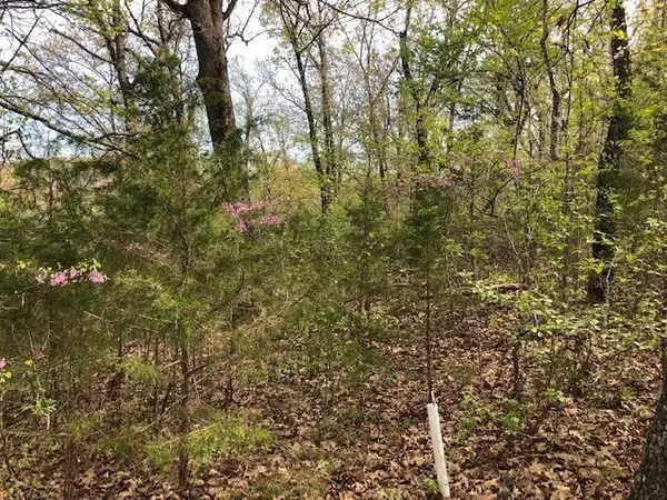 120 Silver Oak WAY, Branson West, MO 65737