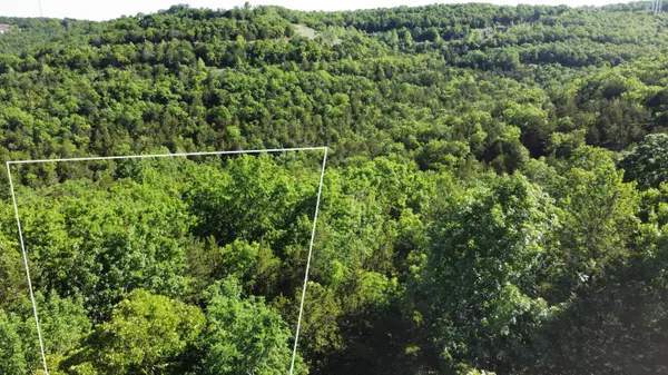 000 Lake Cove Court, Hollister, MO 65672