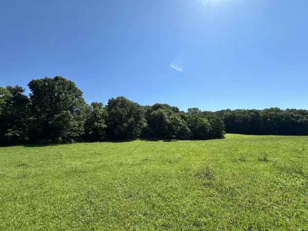 443 Marsha RD, Billings, MO 65610