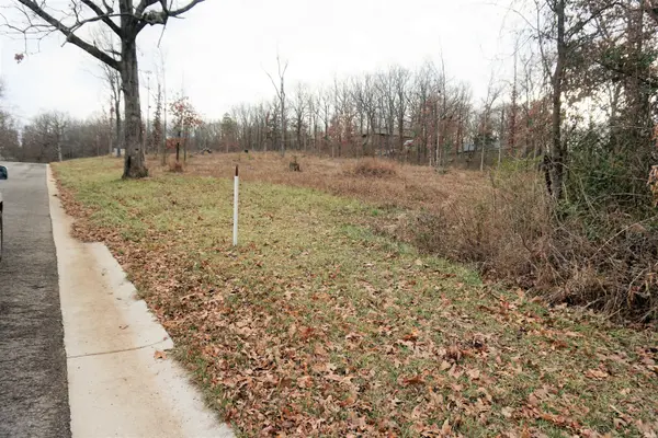 215 Or 217 S. Utah Ave, West Plains, MO 65775