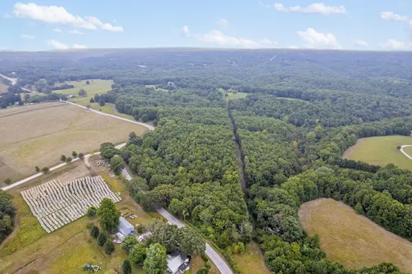 808 Coon Ridge RD, Galena, MO 65656