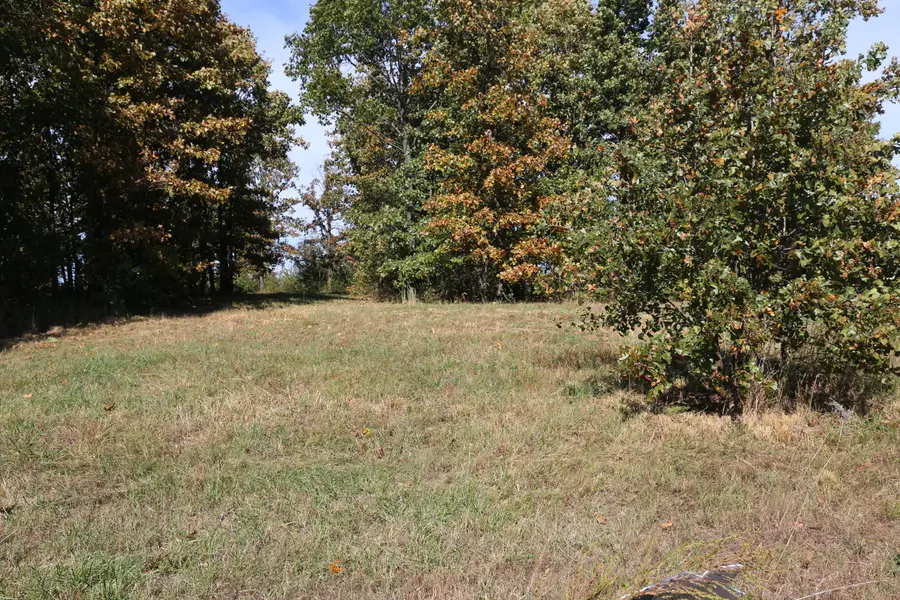 000 Wild Turkey RD #Block 1 Lot 6, West Plains, MO 65775