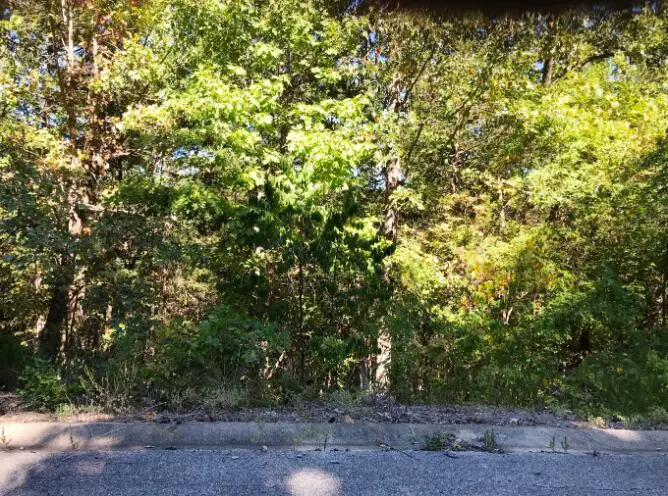 000 Skylee Dr #247, Hollister, MO 65672