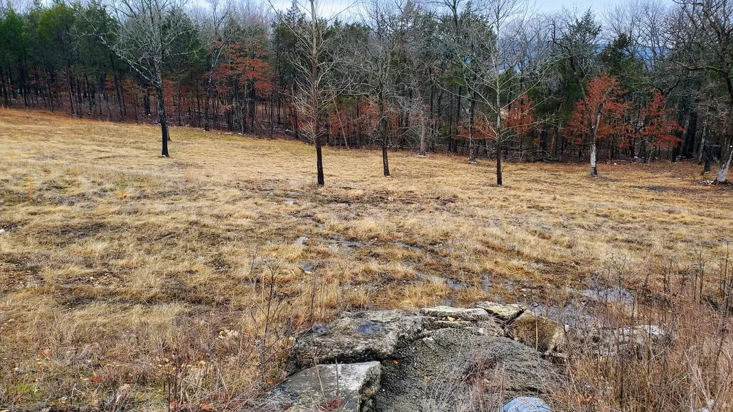 000 Lot 178 Silver Sunset Lane, Kimberling City, MO 65686