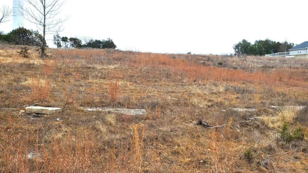 000 Lot 253 Silver Sunset Lane, Kimberling City, MO 65686