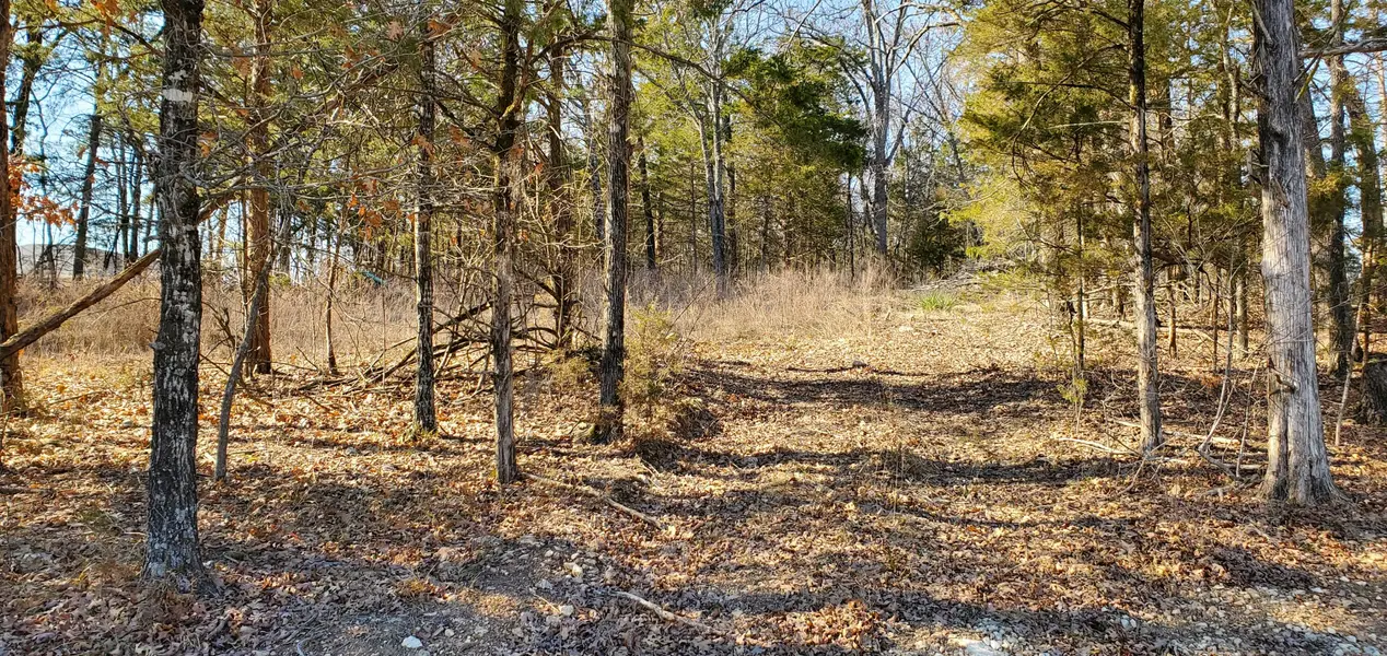 000 Lot 101 Summer Breeze LN, Kimberling City, MO 65686
