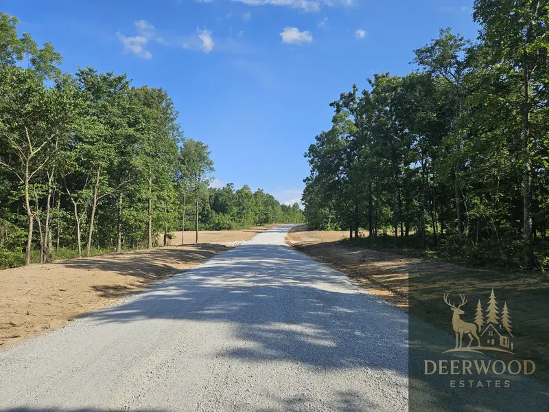 Lot 15 Deerwood Estates, Aurora, MO 65605