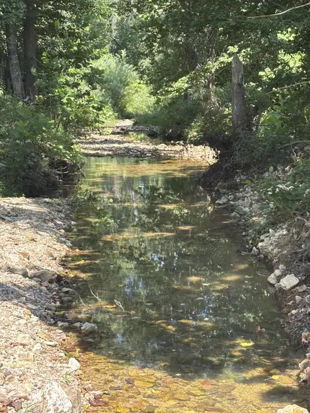 000 County Road 534, Ellington, MO 63638