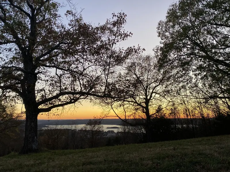 Tbd Emerald Crest -47 Acres, Hollister, MO 65672