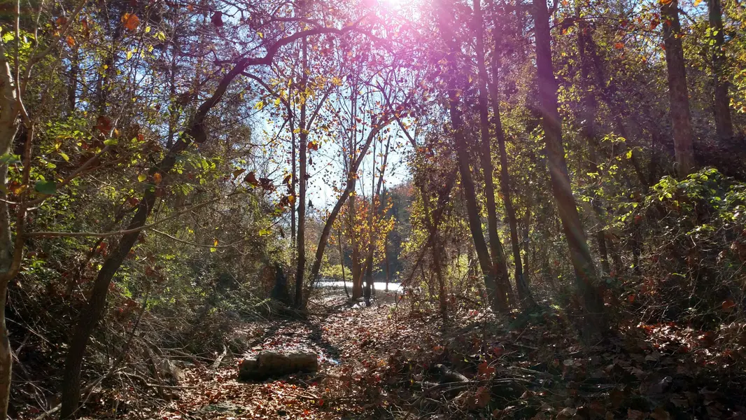 000 Buttermilk Spring RD, Galena, MO 65656