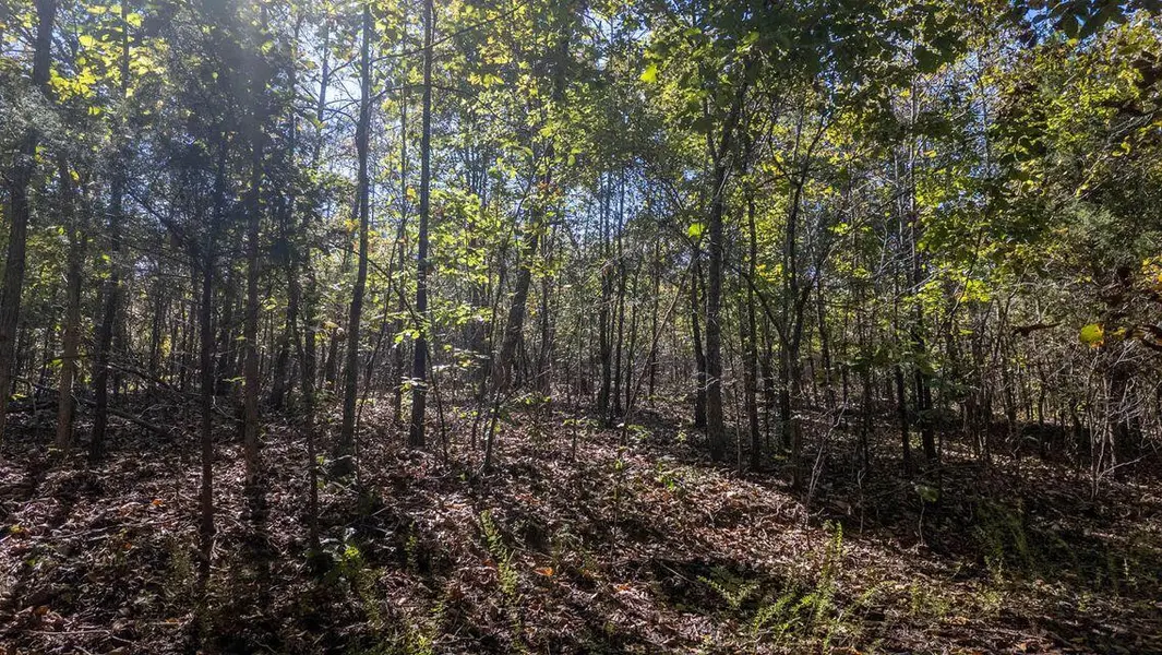 000 Wetumka DR, Cherokee Village, AR 72529