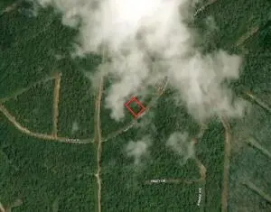 313 Ash Flat DR, Horseshoe Bend, AR 72512