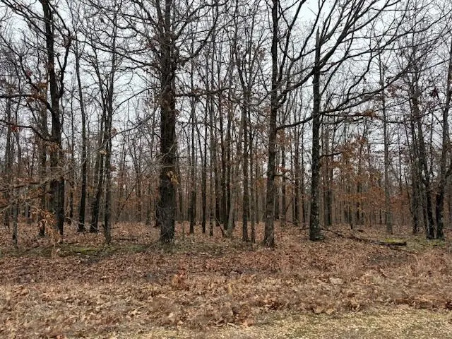 6.47 Acres Hawkweed TRL, Tunas, MO 65764