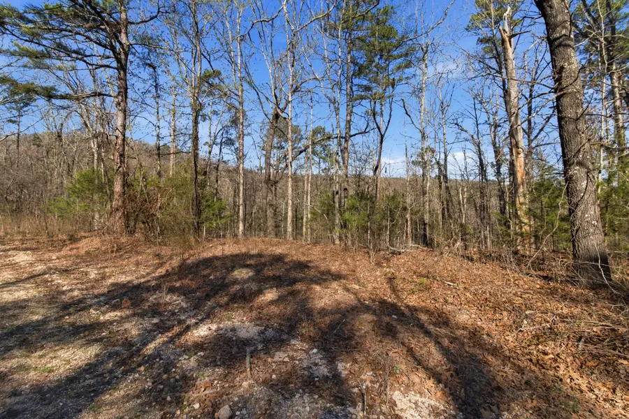 000 County Road 158, Gainesville, MO 65655