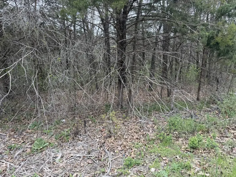 002 Holiday Hills DR, Cape Fair, MO 65624