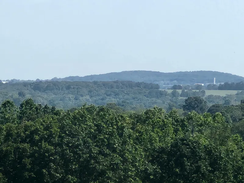 000 Tbd Girlstown Road, Mountain Grove, MO 65711