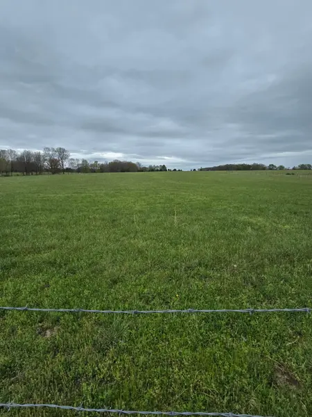 000 Adams Lane, Rogersville, MO 65742