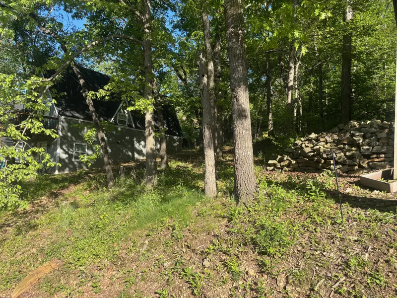 Tbd Black Oak Resort LN, Lampe, MO 65681