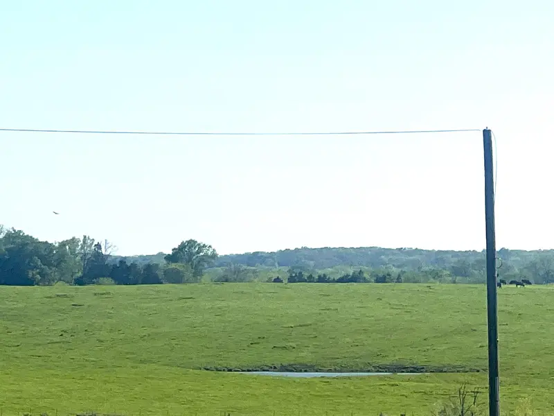 000 State Highway 65, Preston, MO 65732