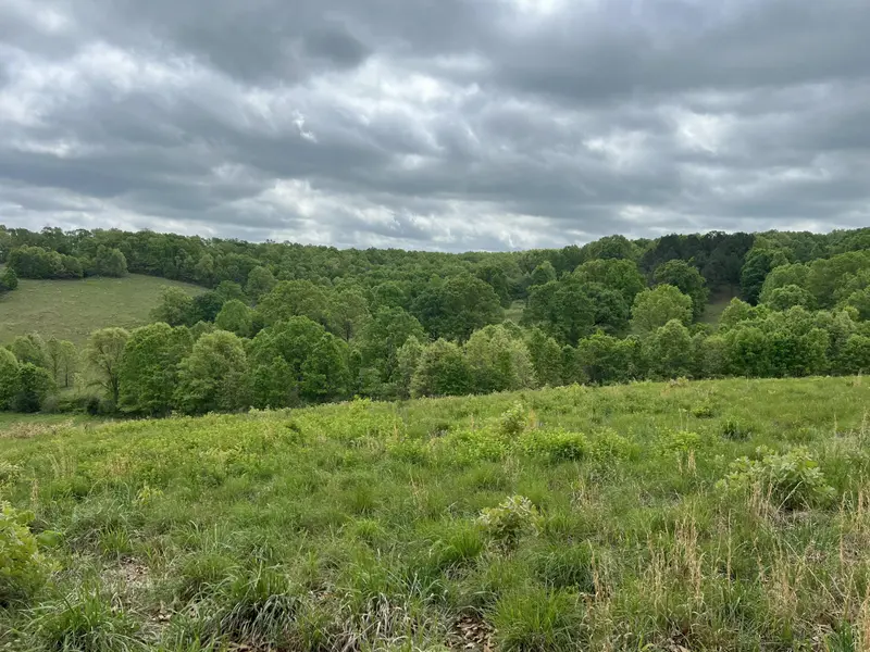 Co Rd 321 Route 5, Ava, MO 65608