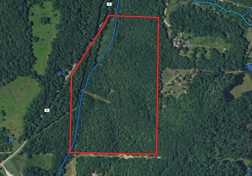 000 State Route V, Bakersfield, MO 65609