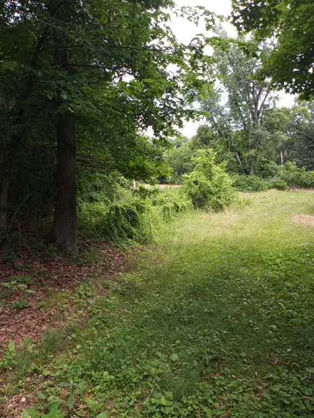 15734 Farm Road 2140, Cassville, MO 65625