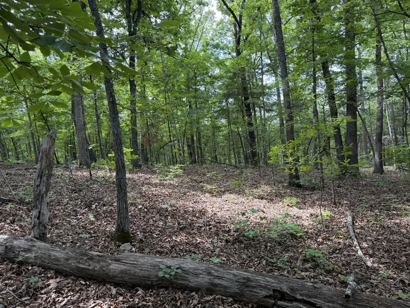 000 Moore Bend RD, Cedarcreek, MO 65627