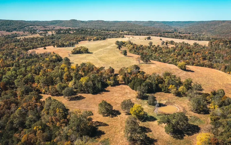 003 Gunnison RD, Kirbyville, MO 65679
