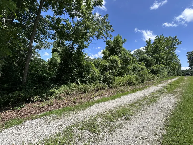 000 Mcdonald PL #Tract 2 Quail Trails, Shell Knob, MO 65747