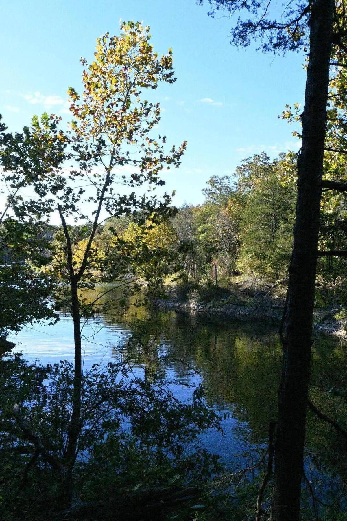 Lot 8 Stonehaven WAY, Shell Knob, MO 65747