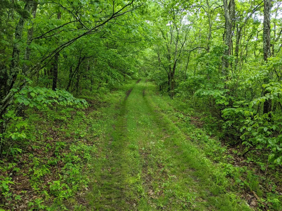 Tracts 1-3 Dogwood Hills EST, Cape Fair, MO 65624