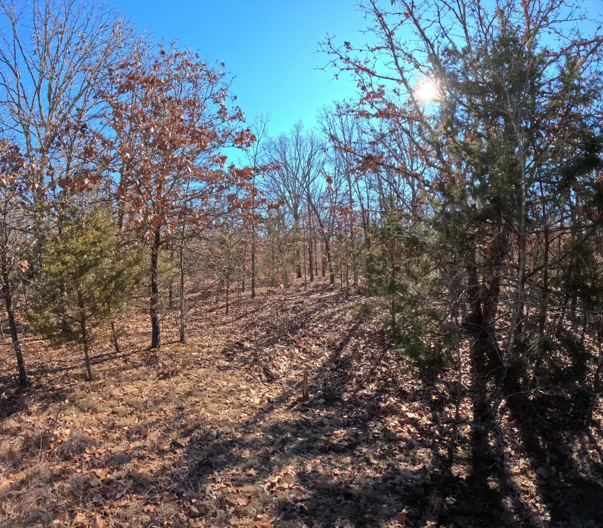 Tract Q Galaxy Lane LN, Lebanon, MO 65536