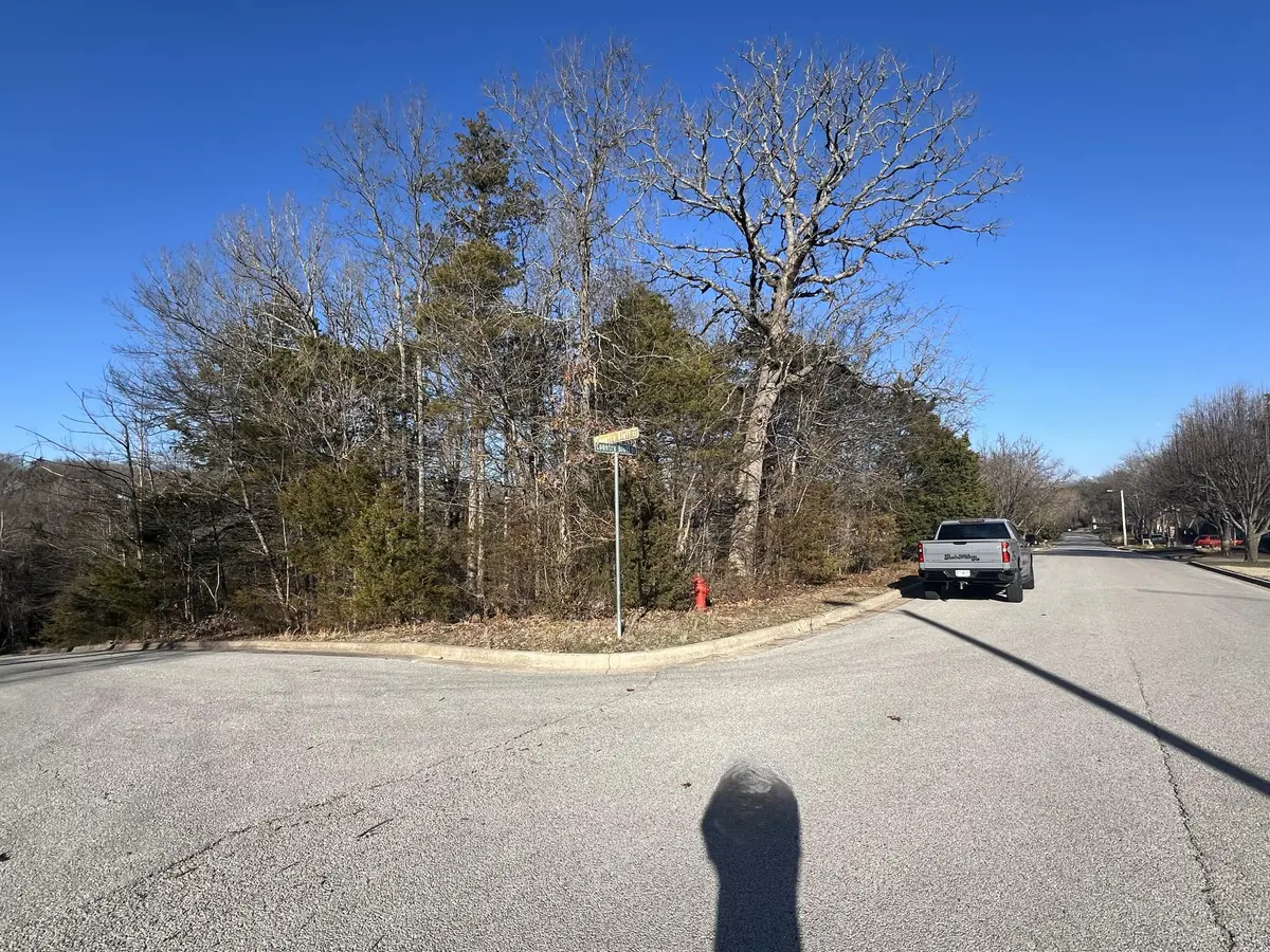 000 Country Bluff DR, Branson, MO 65616
