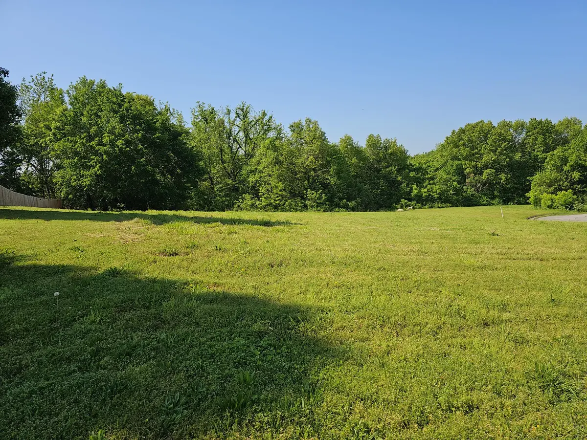 Lot 11 Fox Haven DR, Mt Vernon, MO 65712