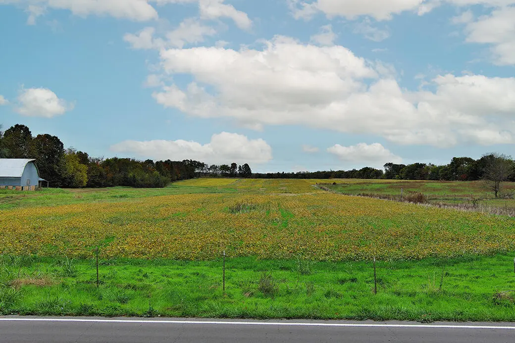 000 W Farm Road 194, Republic, MO 65738