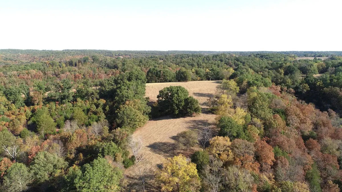 615 Thomas Hollow RD, Rocky Comfort, MO 64861
