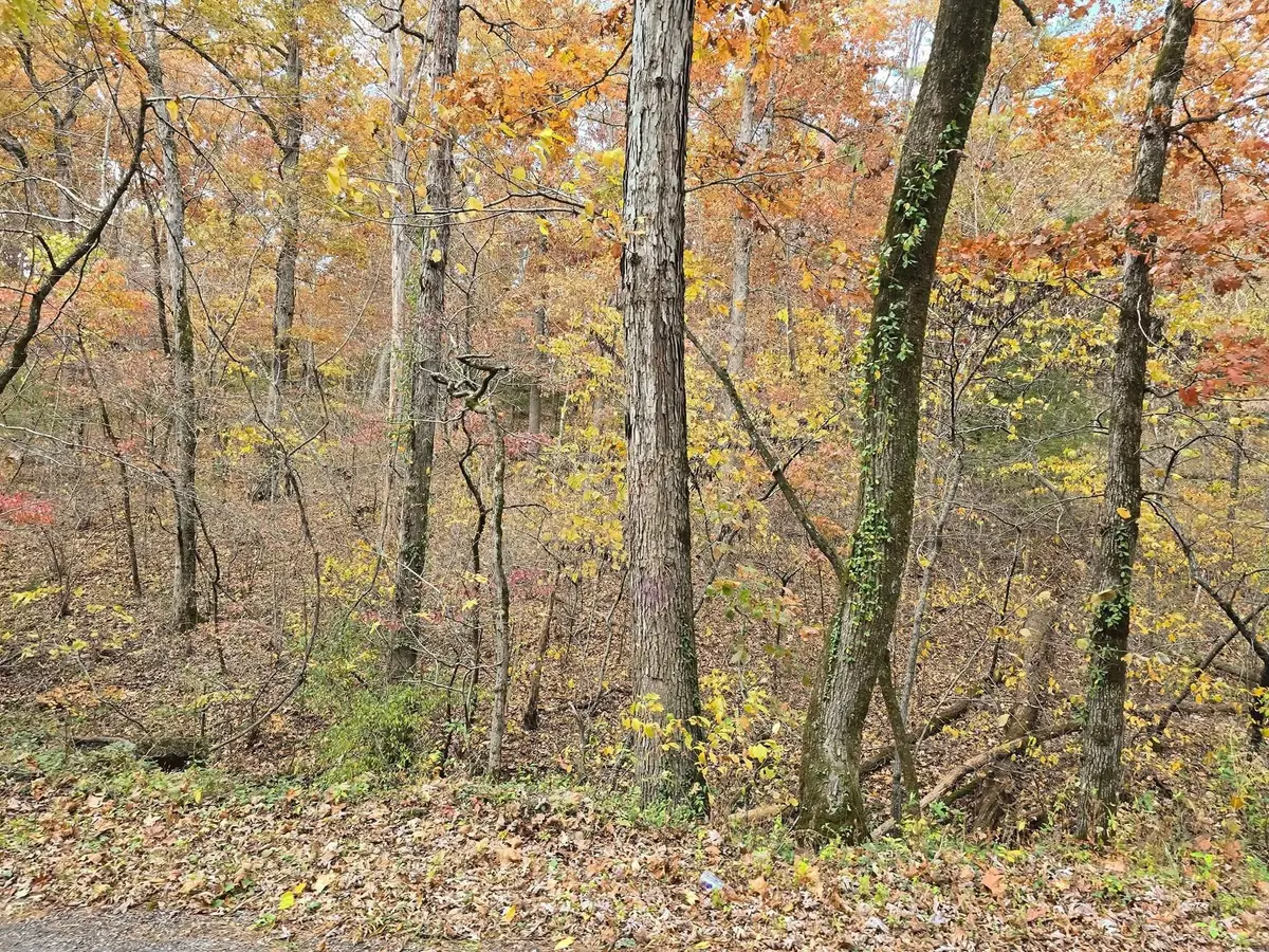 000 Mineral Dr. Lot 3, Houston, MO 65483